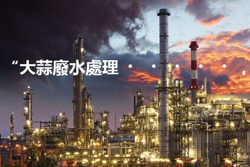 “大蒜廢水處理，綠色環(huán)保新篇章”